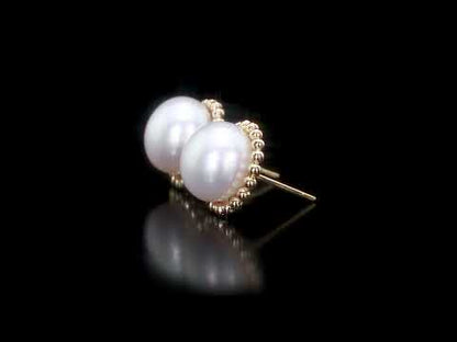 10.5 - 11 MM White Freshwater Cultured Pearl Fashion Post Earrings 10k Yellow Gold