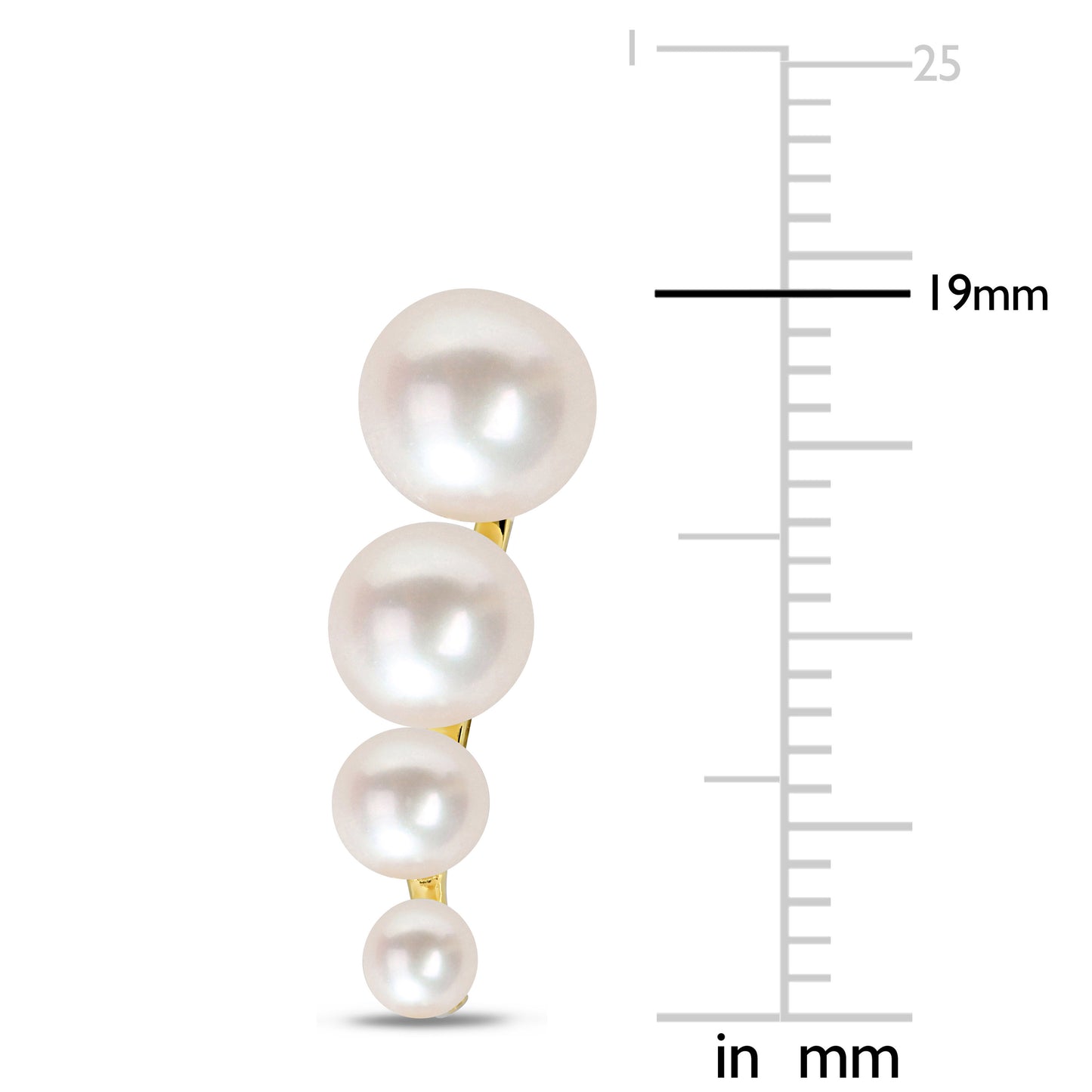 White Freshwater Cultured Pearl Ear Crawlers